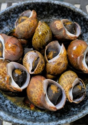 初めてのバイ貝の煮付けに挑戦😋😋-レシピのメイン写真