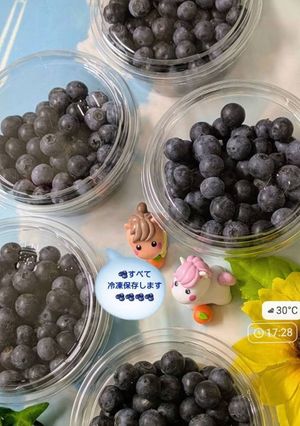 🫐近所で収穫されたブルーベリーを冷凍保存します🫐-レシピのメイン写真