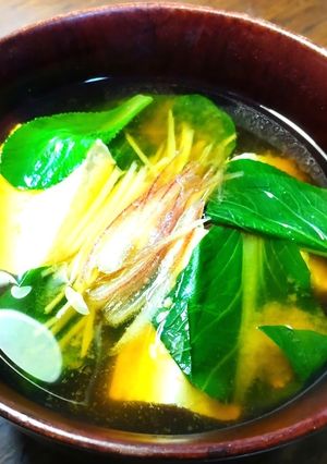 暑い日に爽やか　新生姜の香りのお味噌汁-レシピのメイン写真