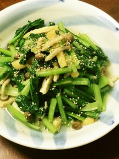 時短!小松菜の炒め浸し-レシピのメイン写真
