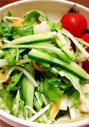 モリモリ野菜を食べちゃうサラダ☆-レシピのメイン写真