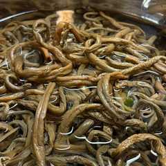 A picture of 乾燥ぜんまい(干しぜんまい)の戻し方.