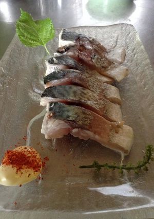 〆鯖スモーク-レシピのメイン写真