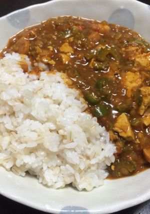 豆腐とゴーヤーのトマトカレー-レシピのメイン写真
