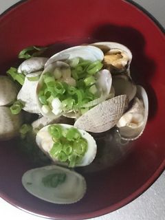 あさりの酒蒸し-レシピのメイン写真