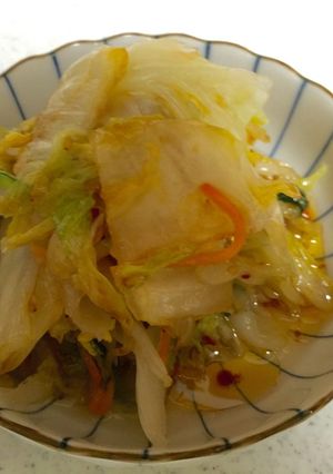 白菜の浅漬けに飽きてきたら-レシピのメイン写真