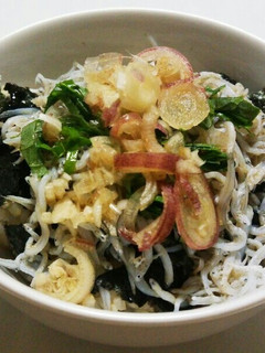 進化した!!乗せるだけ☆しらす丼☆-レシピのメイン写真