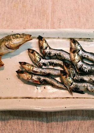 釣ったイワシをメザシ(干物)にしよう-レシピのメイン写真