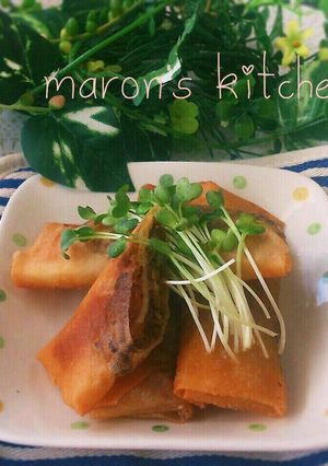 茄子とチーズのひき肉春巻き-レシピのメイン写真