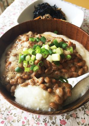 つわりにも◎胃にやさしいとろろごはん-レシピのメイン写真