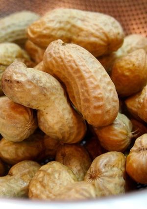 生の落花生を美味しく茹でる方法-レシピのメイン写真