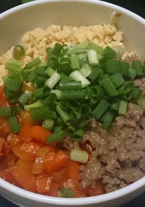 見た目も美味しい！三色丼！！-レシピのメイン写真