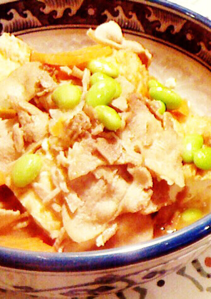 厚揚げと豚肉の煮物-レシピのメイン写真