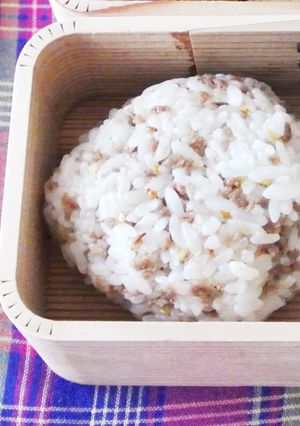 エジプト塩で☆エスニックそぼろおにぎり-レシピのメイン写真