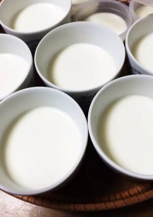 混ぜて冷やすだけ！なめらか牛乳プリン-レシピのメイン写真