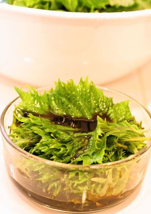 大葉の醤油漬け-レシピのメイン写真