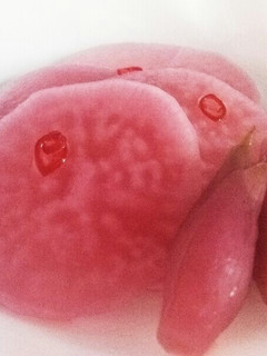 みょうがの甘酢の残り酢でさくら大根-レシピのメイン写真