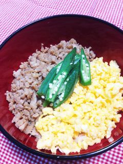 鳥そぼろ丼-レシピのメイン写真