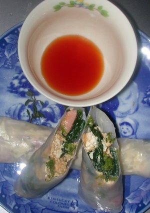 生春巻きPART5(炒り豆腐入り）-レシピのメイン写真
