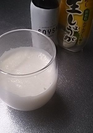 ジンジャーソイシュ-レシピのメイン写真