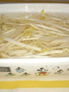 もやしの保存-レシピのメイン写真