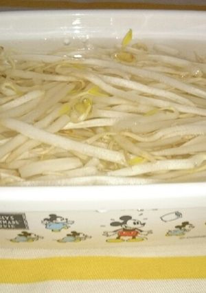 もやしの保存-レシピのメイン写真