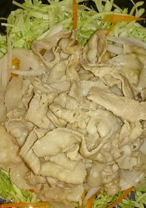 豚しゃぶ～たっぷり野菜巻き～-レシピのメイン写真