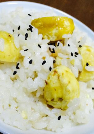 栗ご飯-レシピのメイン写真