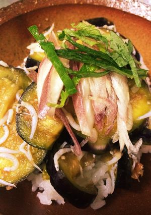 水茄子としらすの丼-レシピのメイン写真