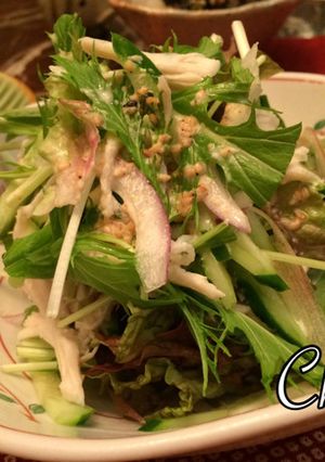 鶏ささみ　胡麻七味サラダ-レシピのメイン写真