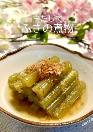 ふきの煮物-レシピのメイン写真