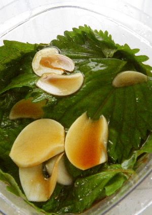 シソ醤油ニンニク風味-レシピのメイン写真