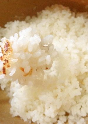 最速の土鍋で新米の炊き方-レシピのメイン写真