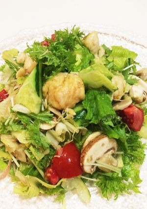 鶏ササミでしっとりつるりんサラダ-レシピのメイン写真