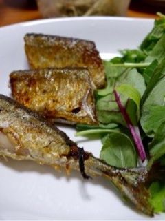 秋刀魚のムニエル-レシピのメイン写真