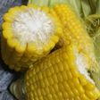 超簡単..本物コーン.Rial Corn