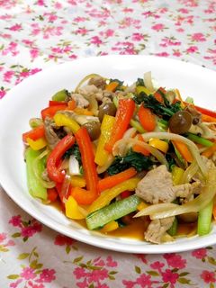 豚肉と彩り野菜のオイスターソース炒め✿-レシピのメイン写真
