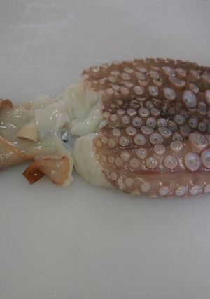 タコの塩揉み-レシピのメイン写真