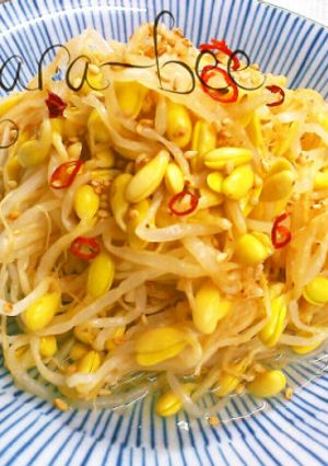 節約25円♡白だし+酢で豆モヤシの浅漬け-レシピのメイン写真