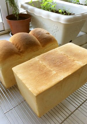 食パン (ドライイースト使用)-レシピのメイン写真
