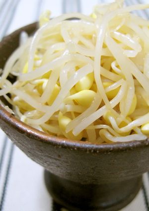 もやしピクルス-レシピのメイン写真