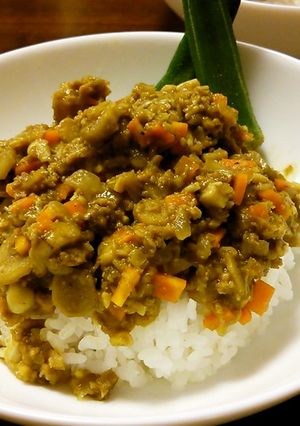 キーマカレーなのか?ドライカレーなのか?-レシピのメイン写真