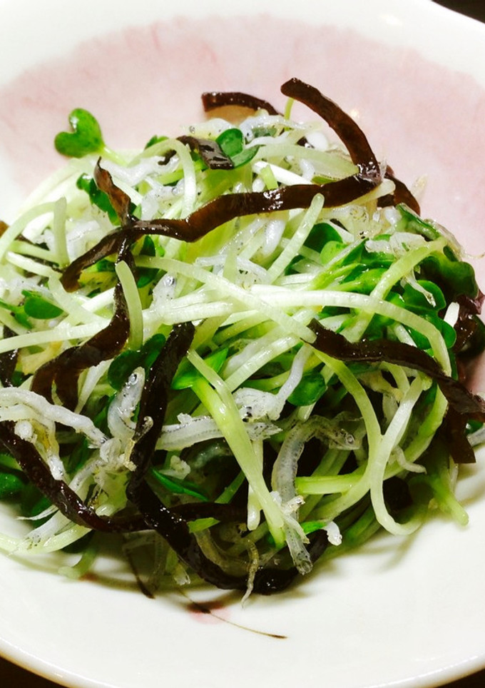 簡単！かいわれとジャコの塩昆ごま油和え！-レシピのメイン写真