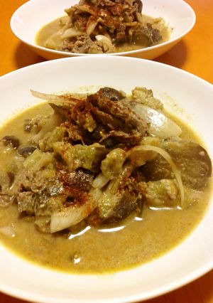 牛肉と茄子のヨーグルトスパイススープ-レシピのメイン写真