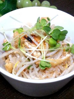 もやしの酢の物-レシピのメイン写真