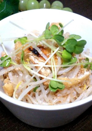 もやしの酢の物-レシピのメイン写真