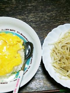 卵の中華あんかけ丼ともやし炒め-レシピのメイン写真