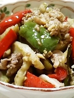 スタミナ料理♡茄子とピーマンの香味炒め-レシピのメイン写真