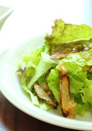 カリカリごぼうサラダ　りんごドレッシング-レシピのメイン写真