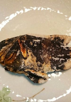 クマノミのグリル焼き(塩焼き)-レシピのメイン写真